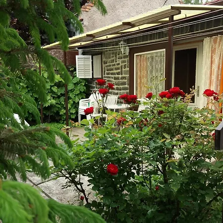 Nyari-lak * باداتشونيتوماي