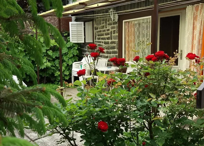 Nyari-lak * בדקסוניטומאי